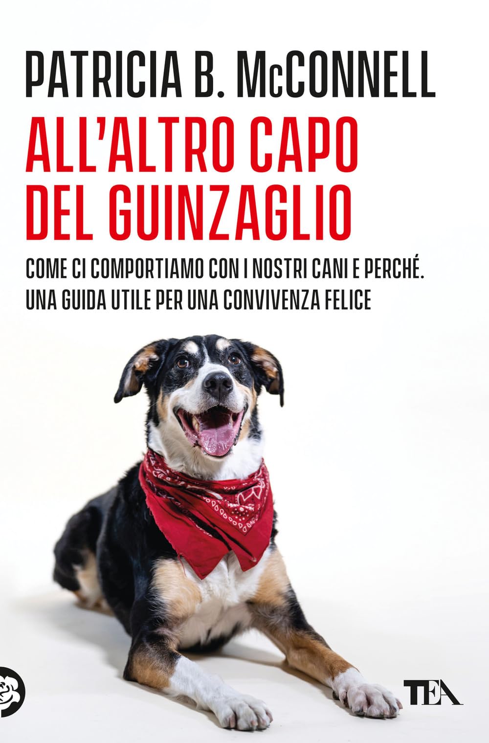 All'altro capo del guinzaglio. Come ci comportiamo con i nastri cani e perché. Una guida utile per una convivenza felice Pets
