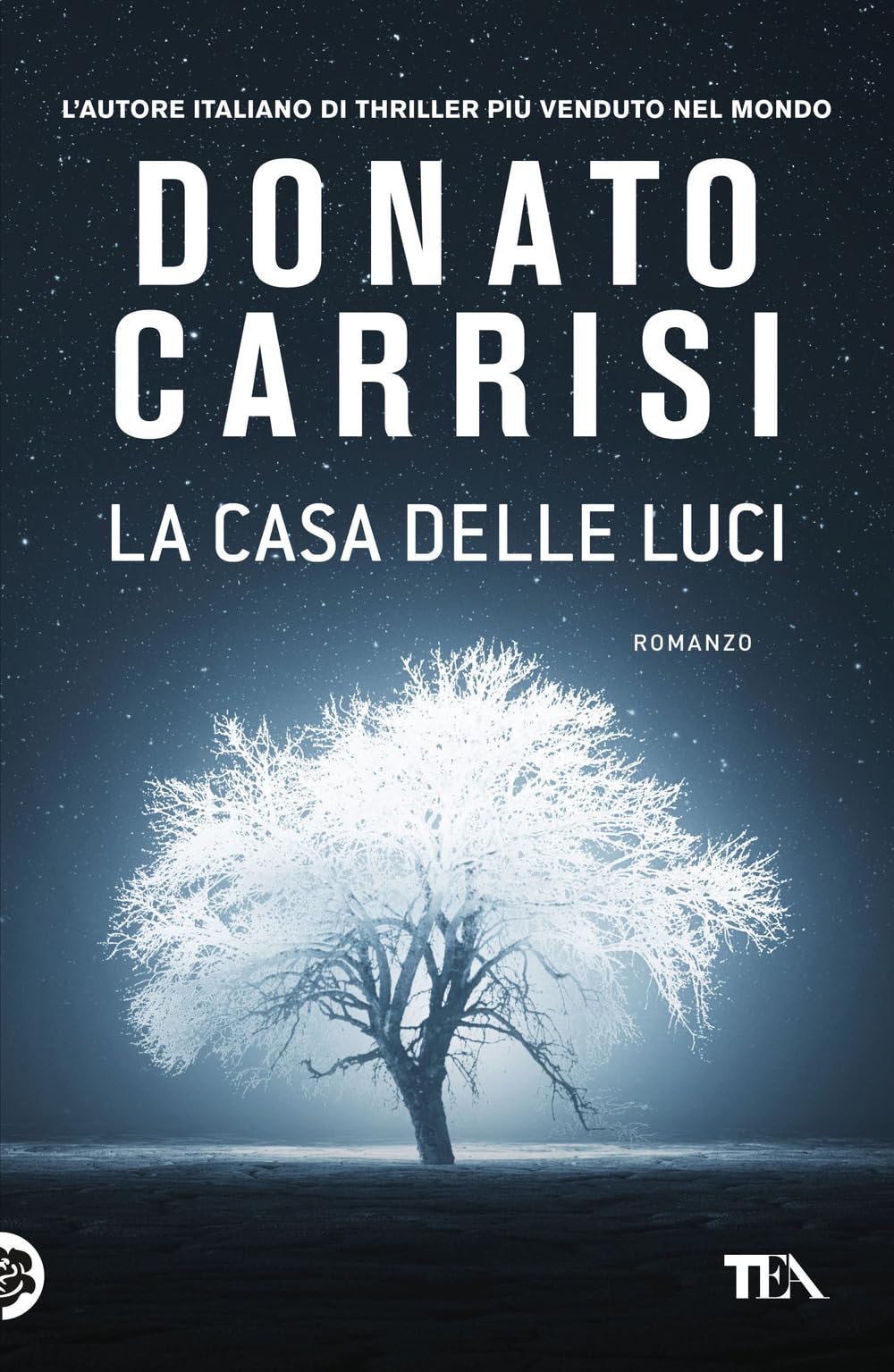 La casa delle luci book