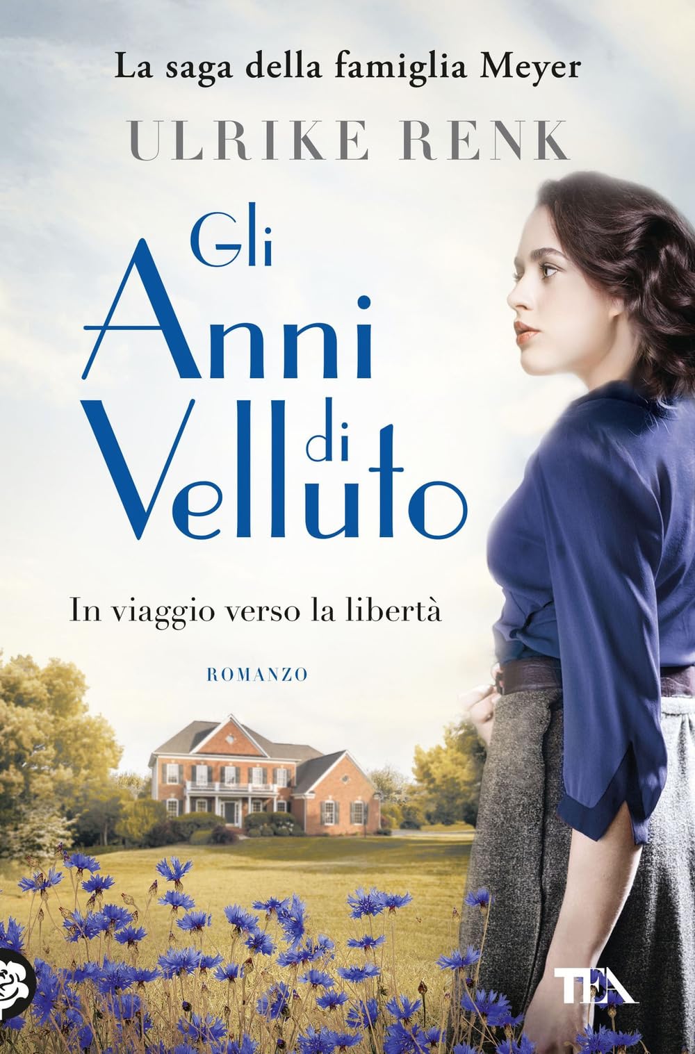 Gli anni di velluto. Il destino di una famiglia book