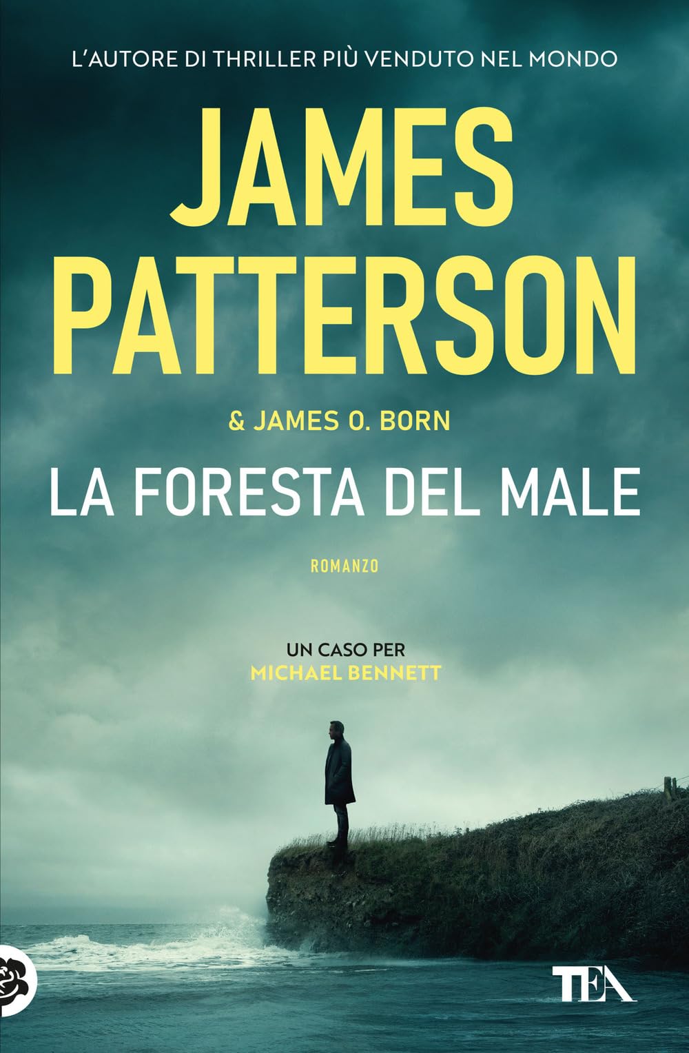 Product Image: La foresta del male