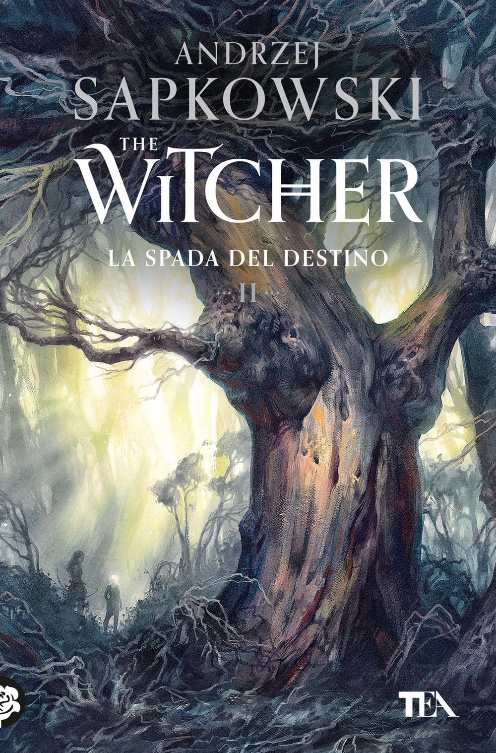 La spada del destino. The Witcher (Vol. 2) book