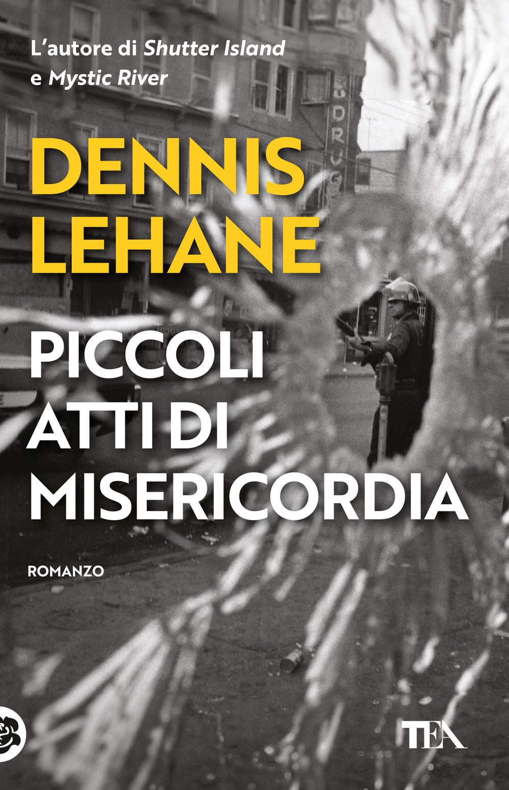 Piccoli atti di misericordia book