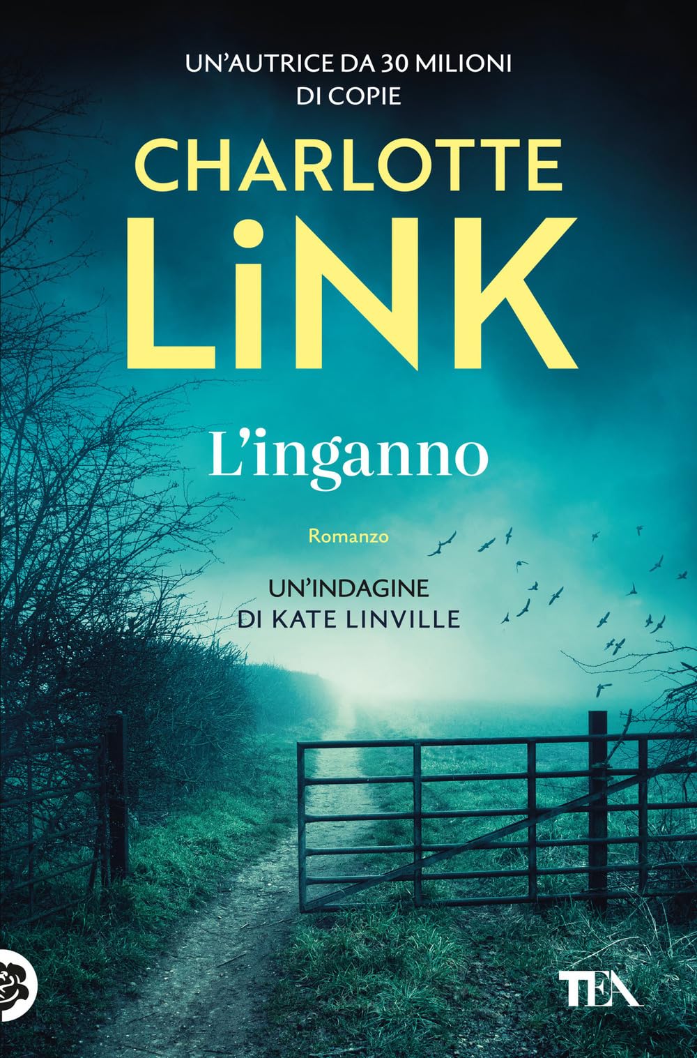 L'inganno. Le indagini di Kate Linville book