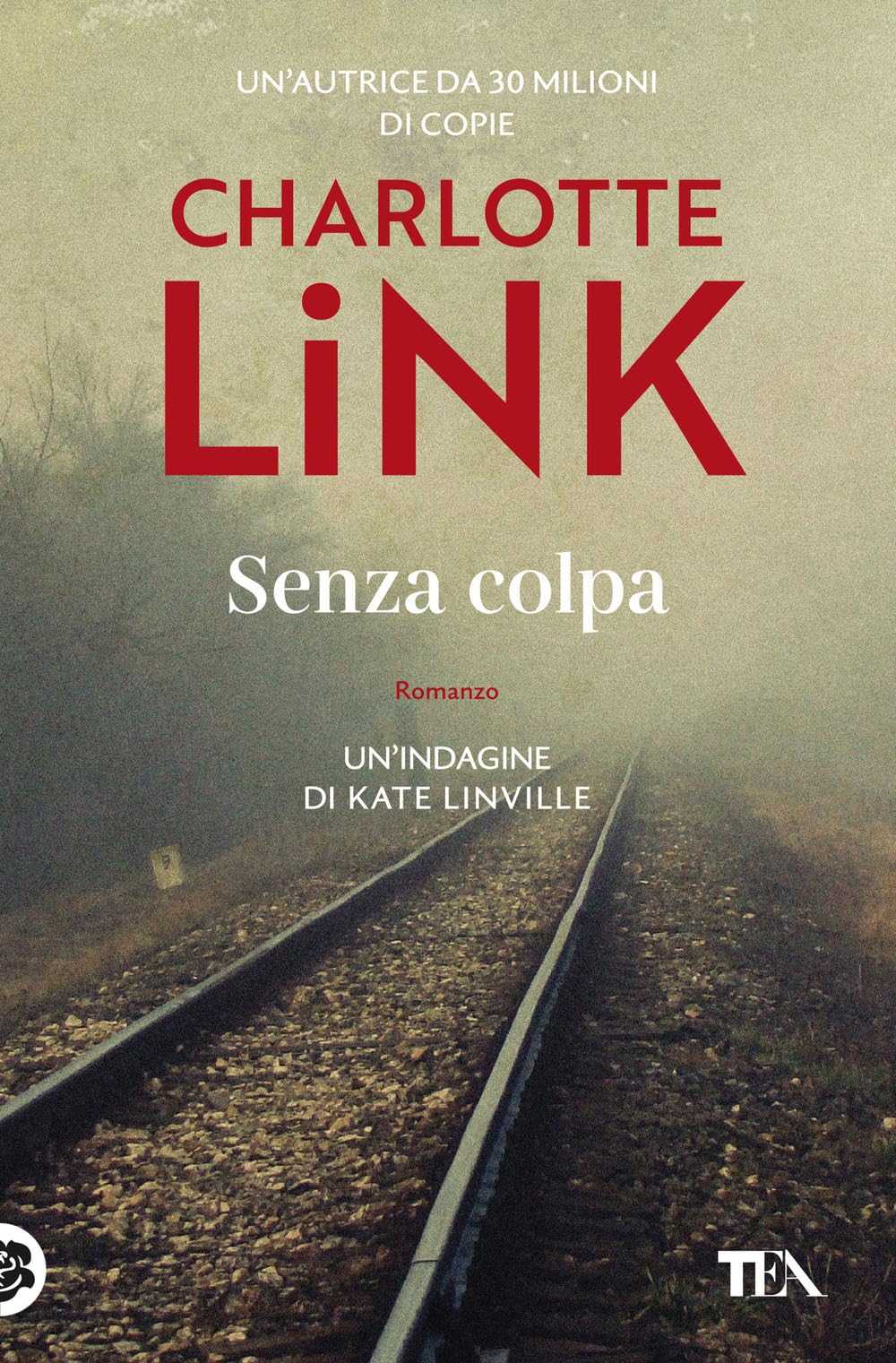 Senza colpa. Le indagini di Kate Linville book