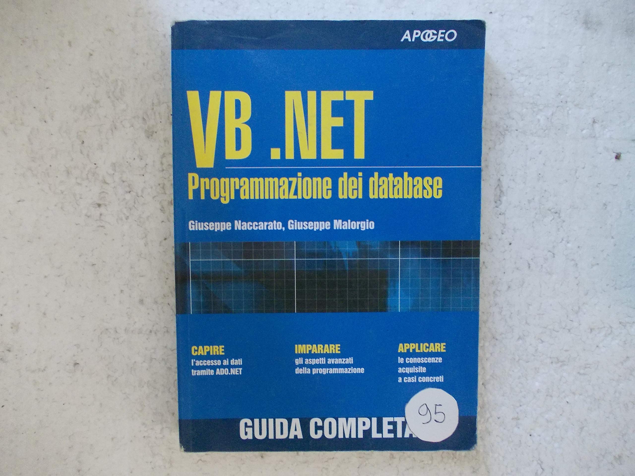 VB.NET. Programmazione dei Database book