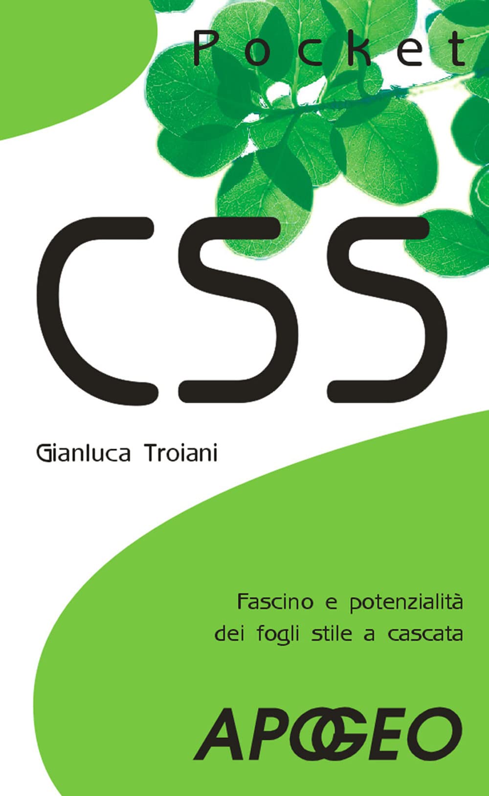 CSS. Fascino e potenzialità dei fogli stile a cascata Computer Science