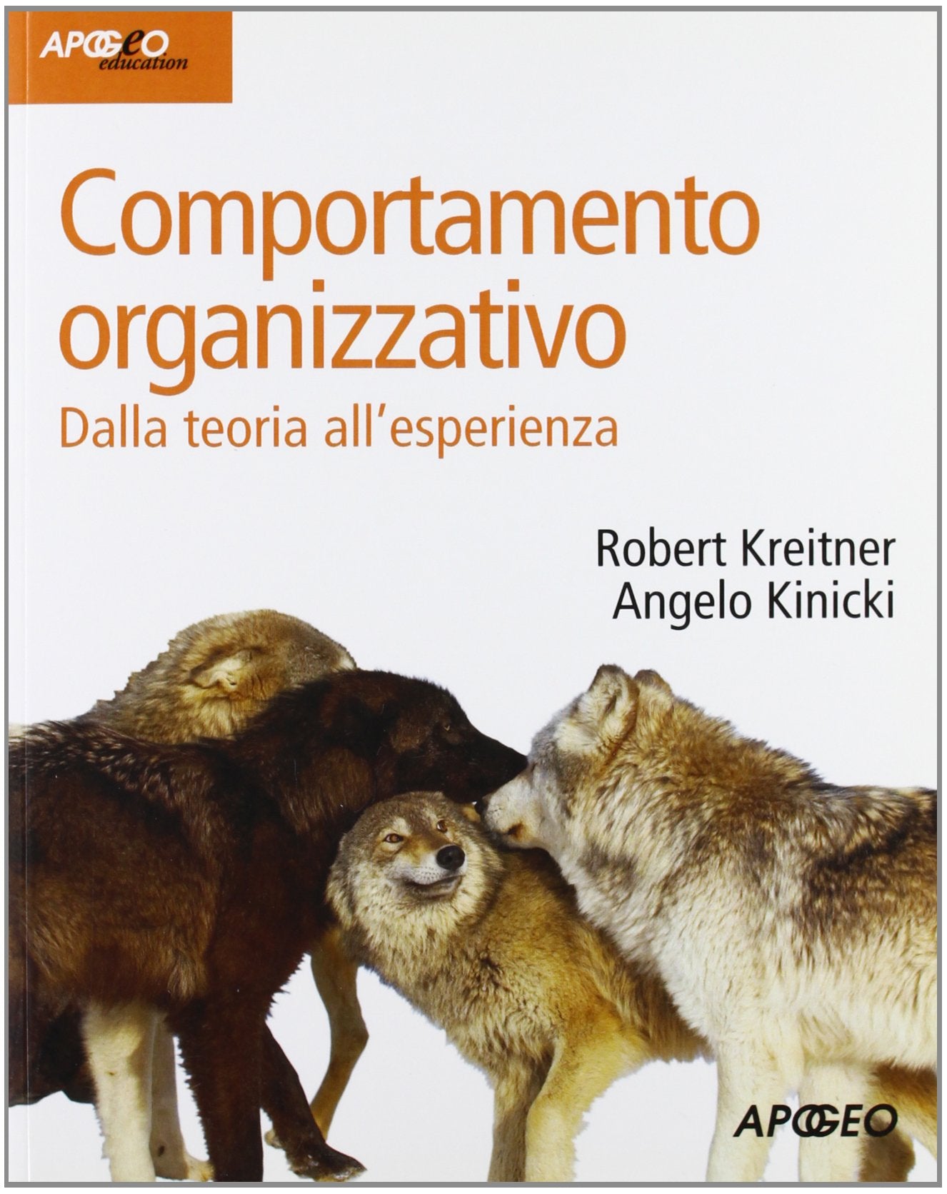 Comportamento organizzativo. Dalla teoria all'esperienza book