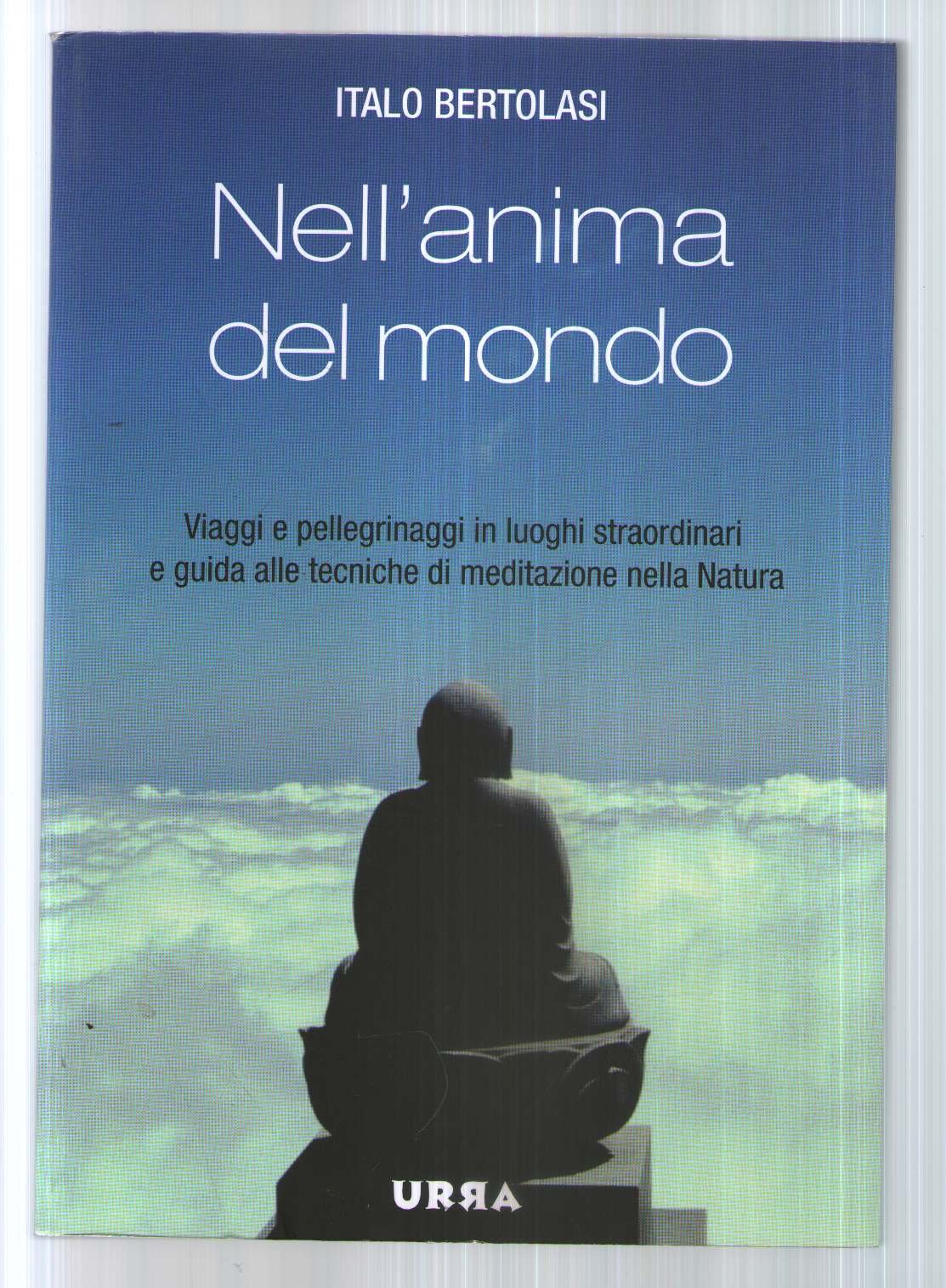 Nell'anima del mondo. Viaggi e pellegrinaggi in luoghi straordinari e guida alle tecniche di meditazione nella natura book