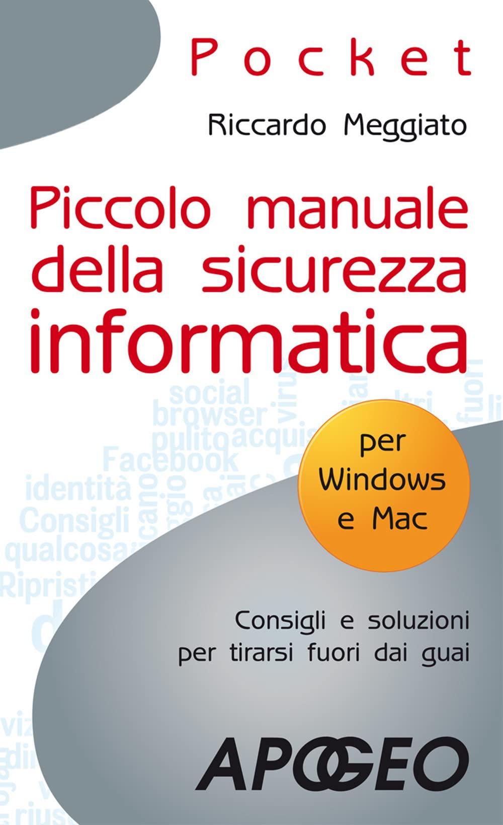 Piccolo manuale della sicurezza informatica book