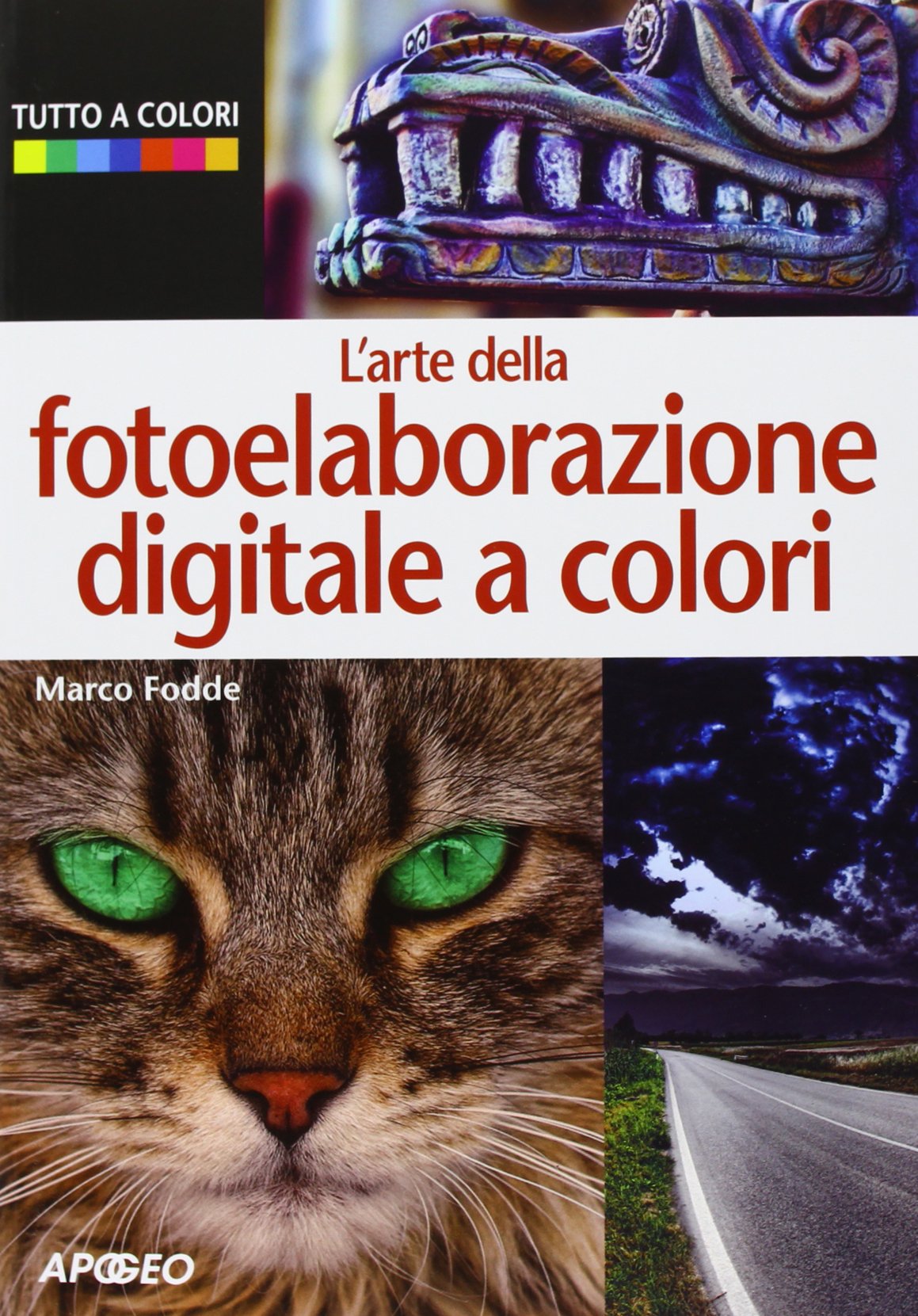 L'arte della fotoelaborazione digitale a colori book