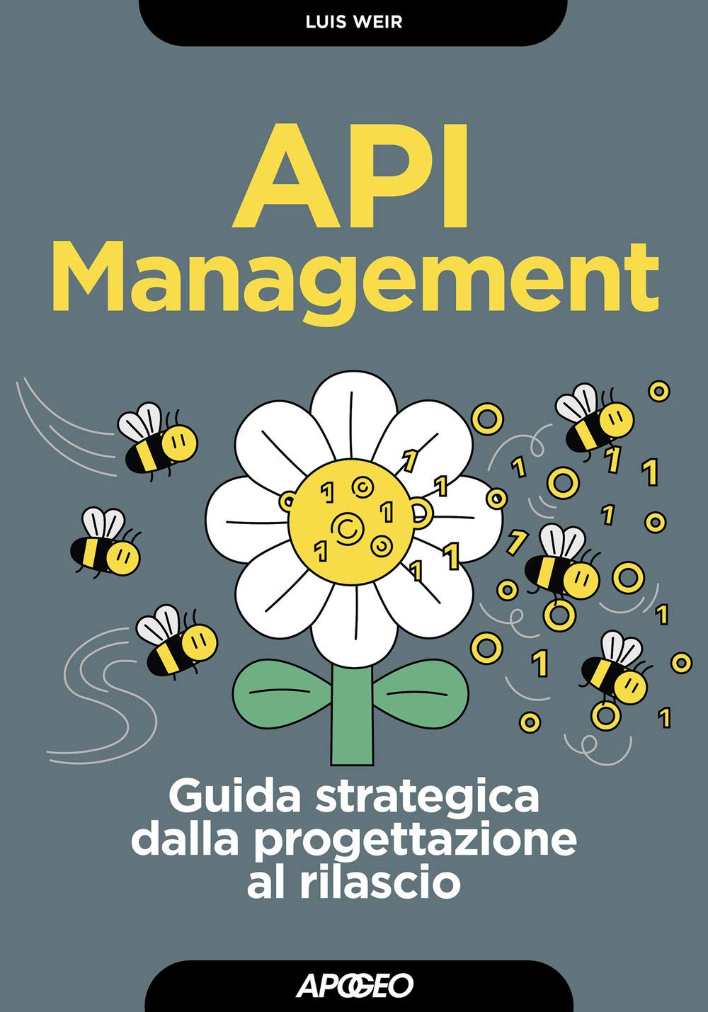 API management. Guida strategica dalla progettazione al rilascio book