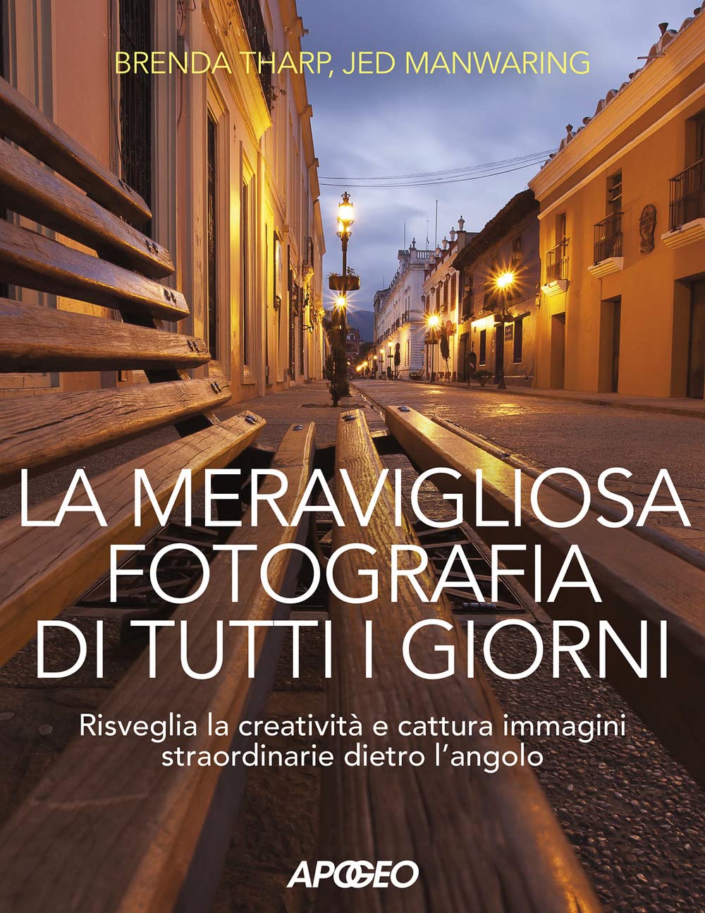 La meravigliosa fotografia di tutti i giorni. Risveglia la creatività, cattura immagini straordinarie dietro l'angolo book