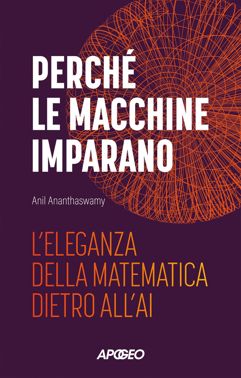 Perché le macchine imparano. L'eleganza della matematica dietro all'AI Computer Science