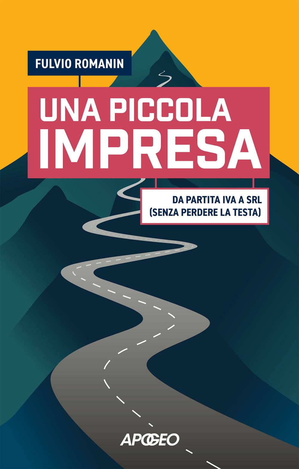 Una piccola impresa. Da partita IVA a srl (senza perdere la testa) Business, Finance & Career