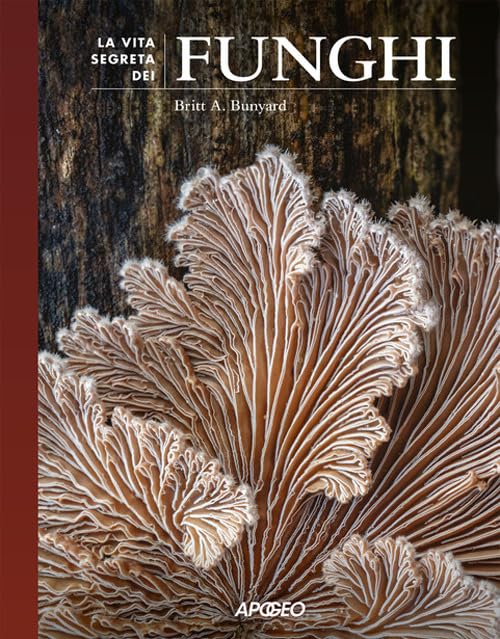 La vita segreta dei funghi book