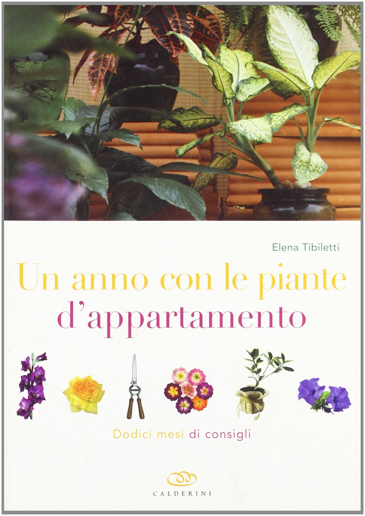 Un anno con le piante d'appartamento. Dodici mesi di consigli Garden & Plants