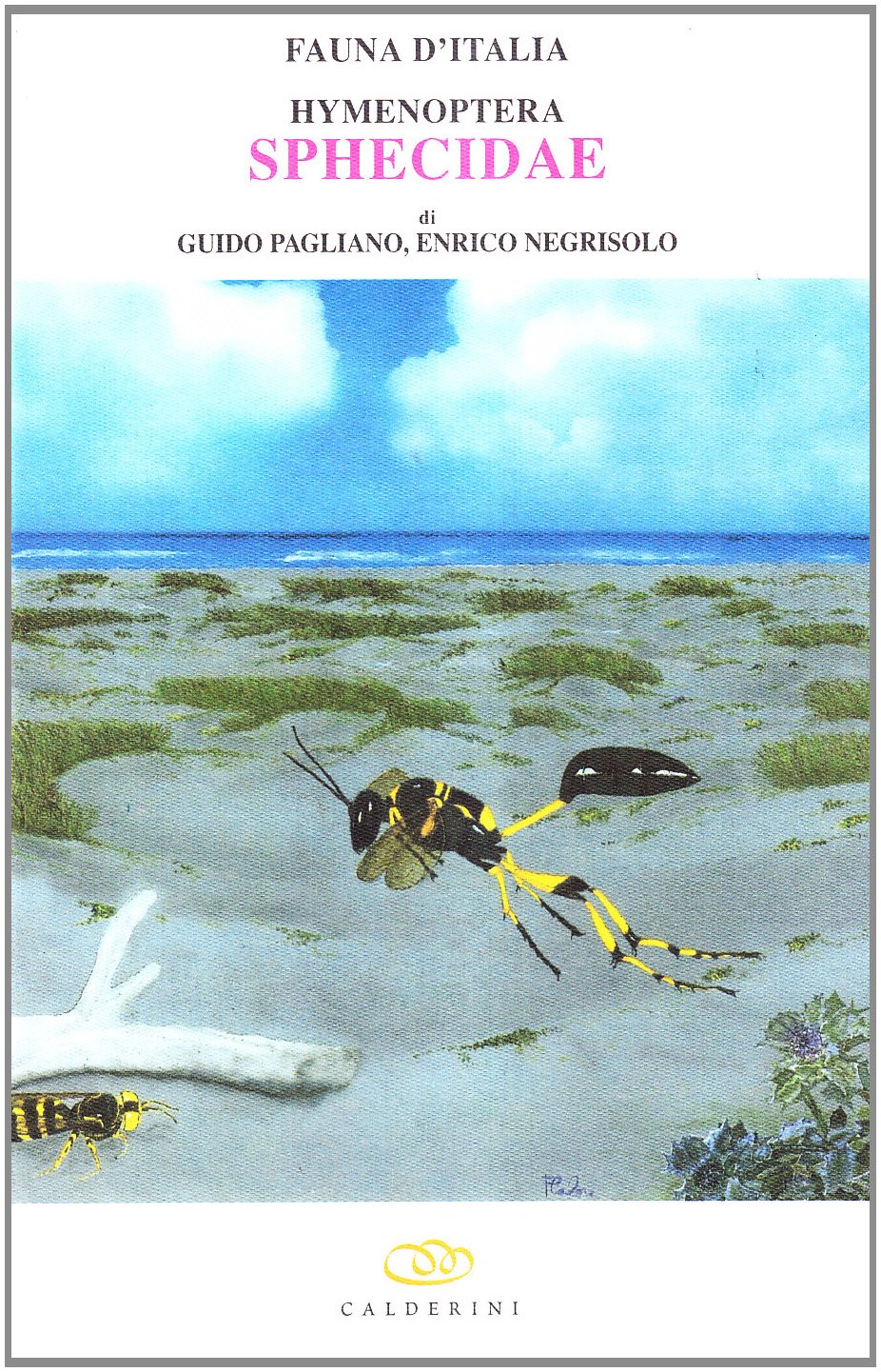 Hymenoptera sphecidae book