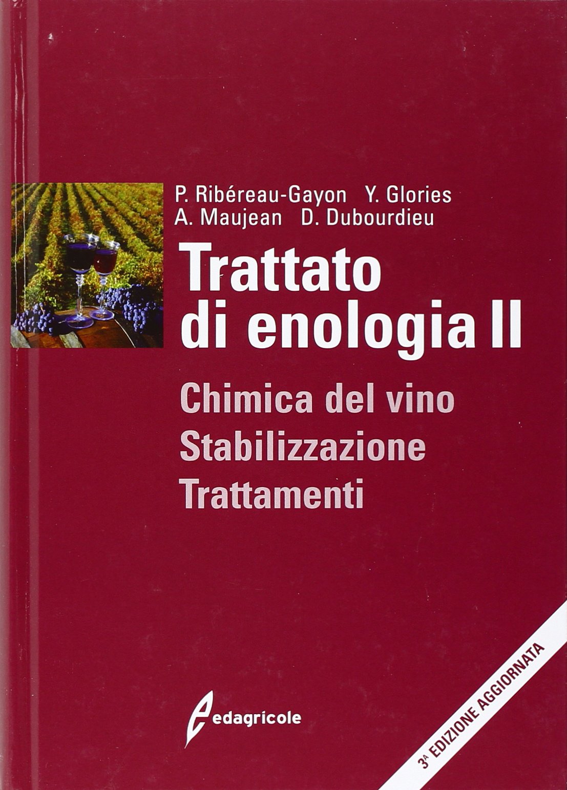 Trattato di enologia. Chimica del vino, stabilizzazione e trattamenti (Vol. 2) book