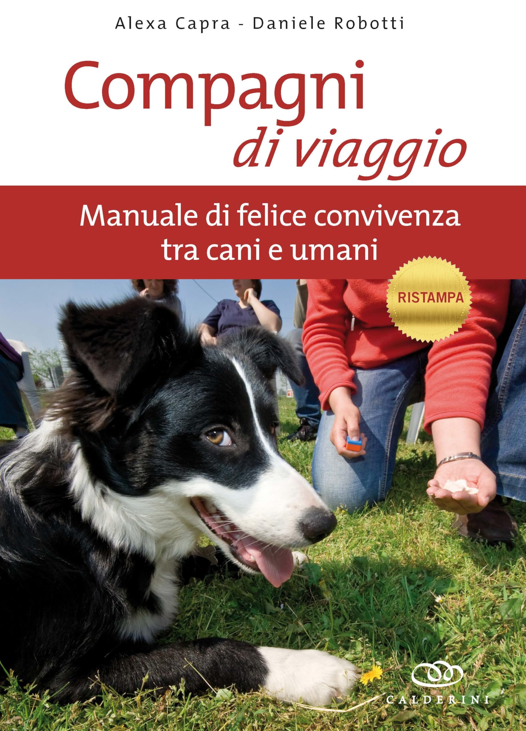 Compagni di viaggio. Manuale di felice convivenza tra cani e umani. Ediz. illustrata Pets