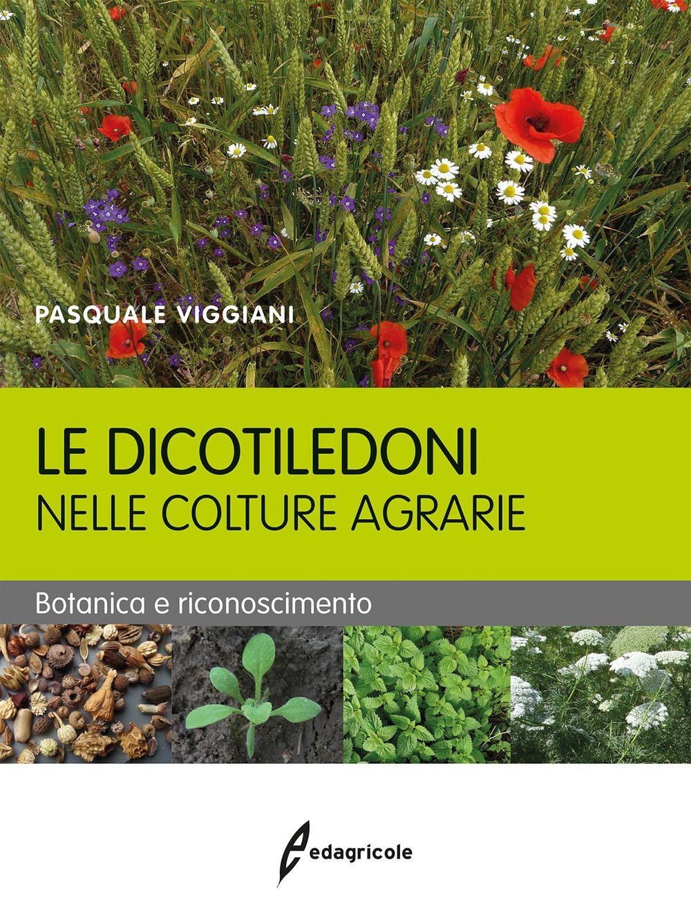 Le dicotiledoni nelle colture agrarie. Botanica e riconoscimento Natural Sciences