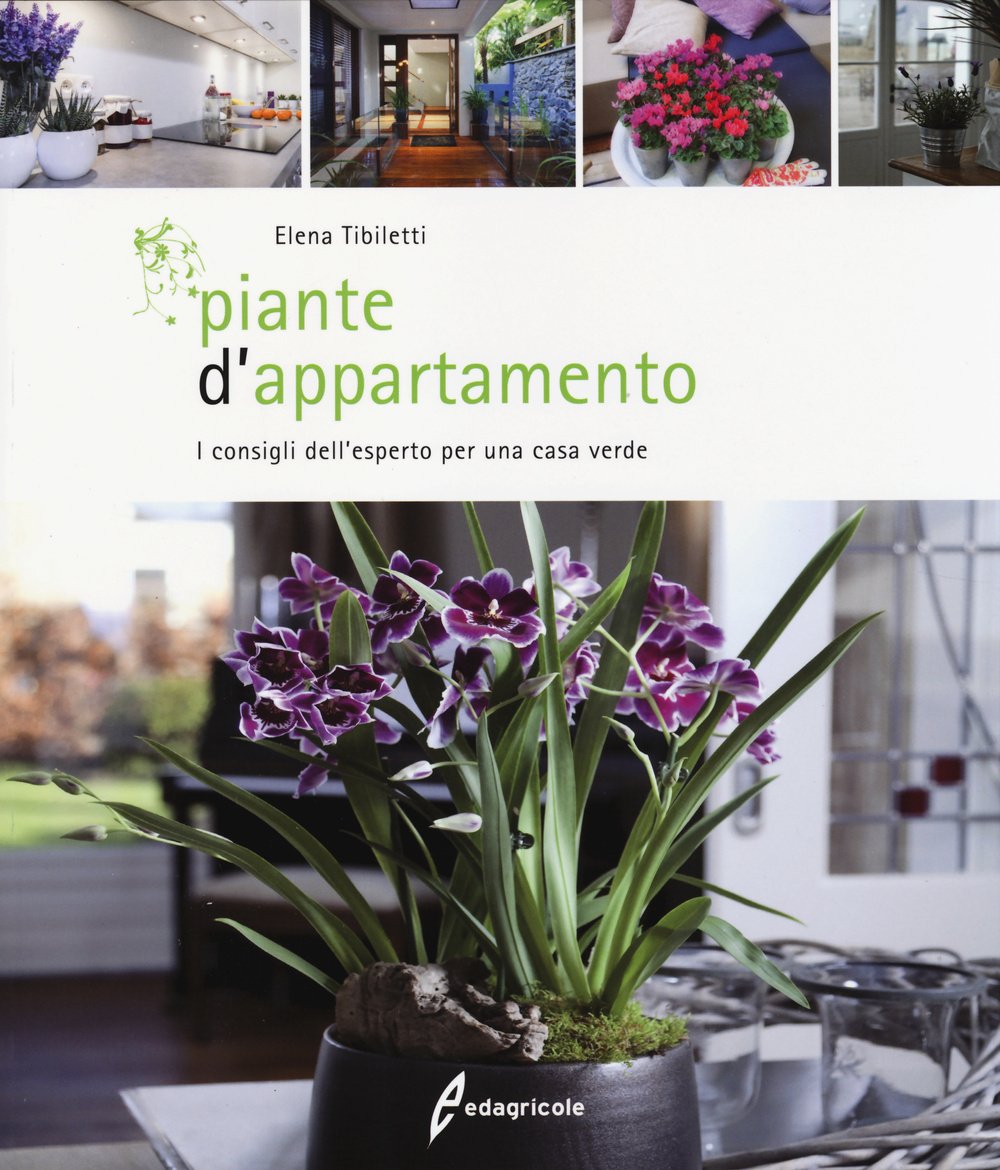 Piante d'appartamento. I consigli dell'esperto per una casa verde Leisure, Home & Garden