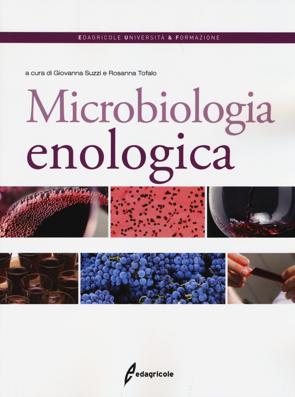 Microbiologia enologica book