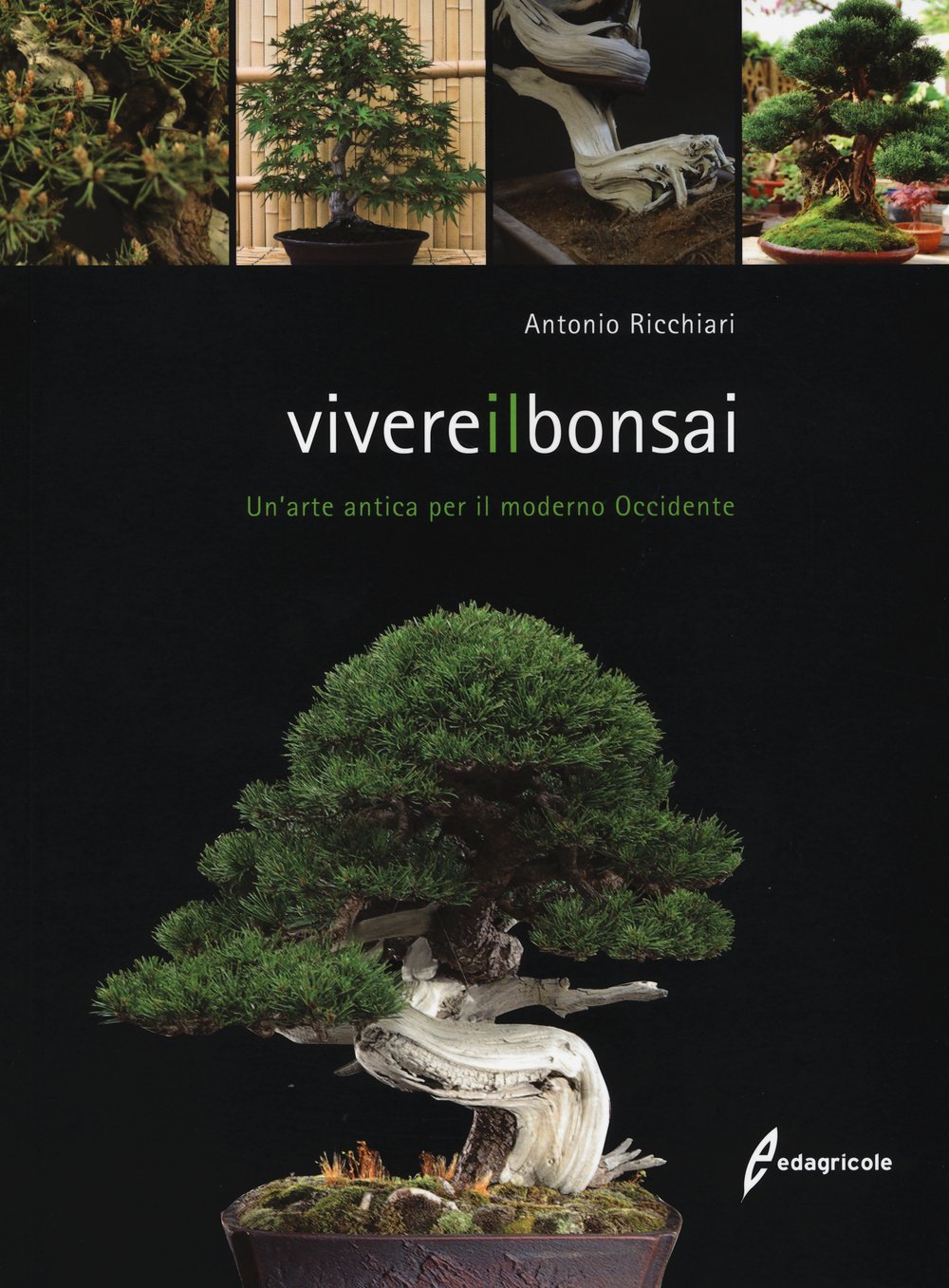 Vivere il bonsai. Un'arte antica per il moderno Occidente. Ediz. illustrata book