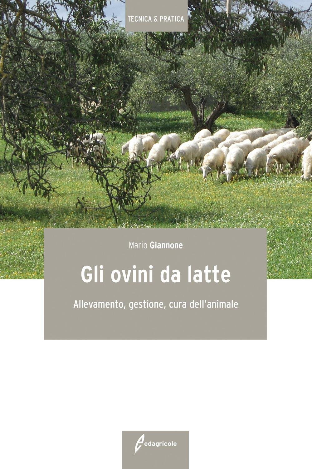 Gli ovini da latte. Allevamento, gestione, cura dell'animale Natural Sciences