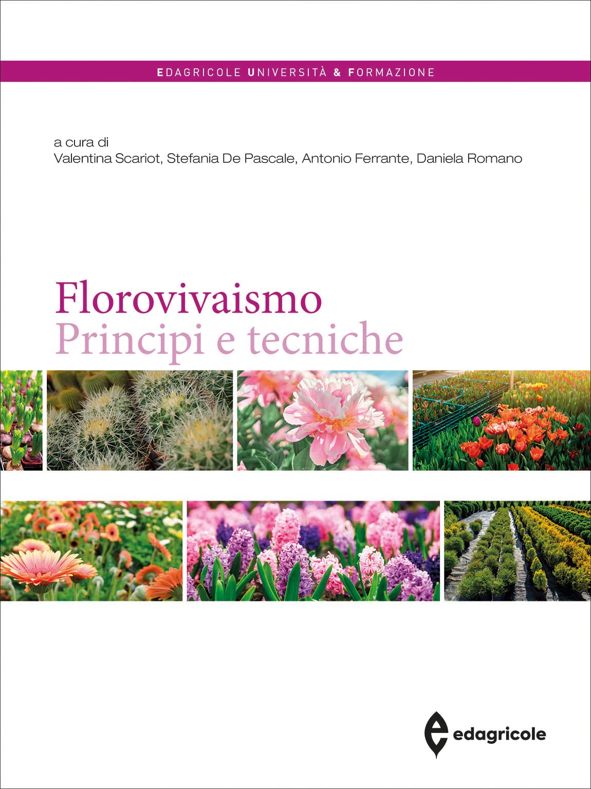 Florovivaismo. Principi e tecniche (Università & formazione) Books