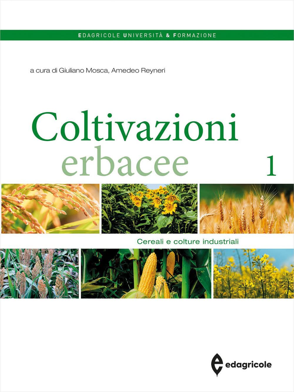 Coltivazioni erbacee. Cereali e colture industriali (Vol. 1) book