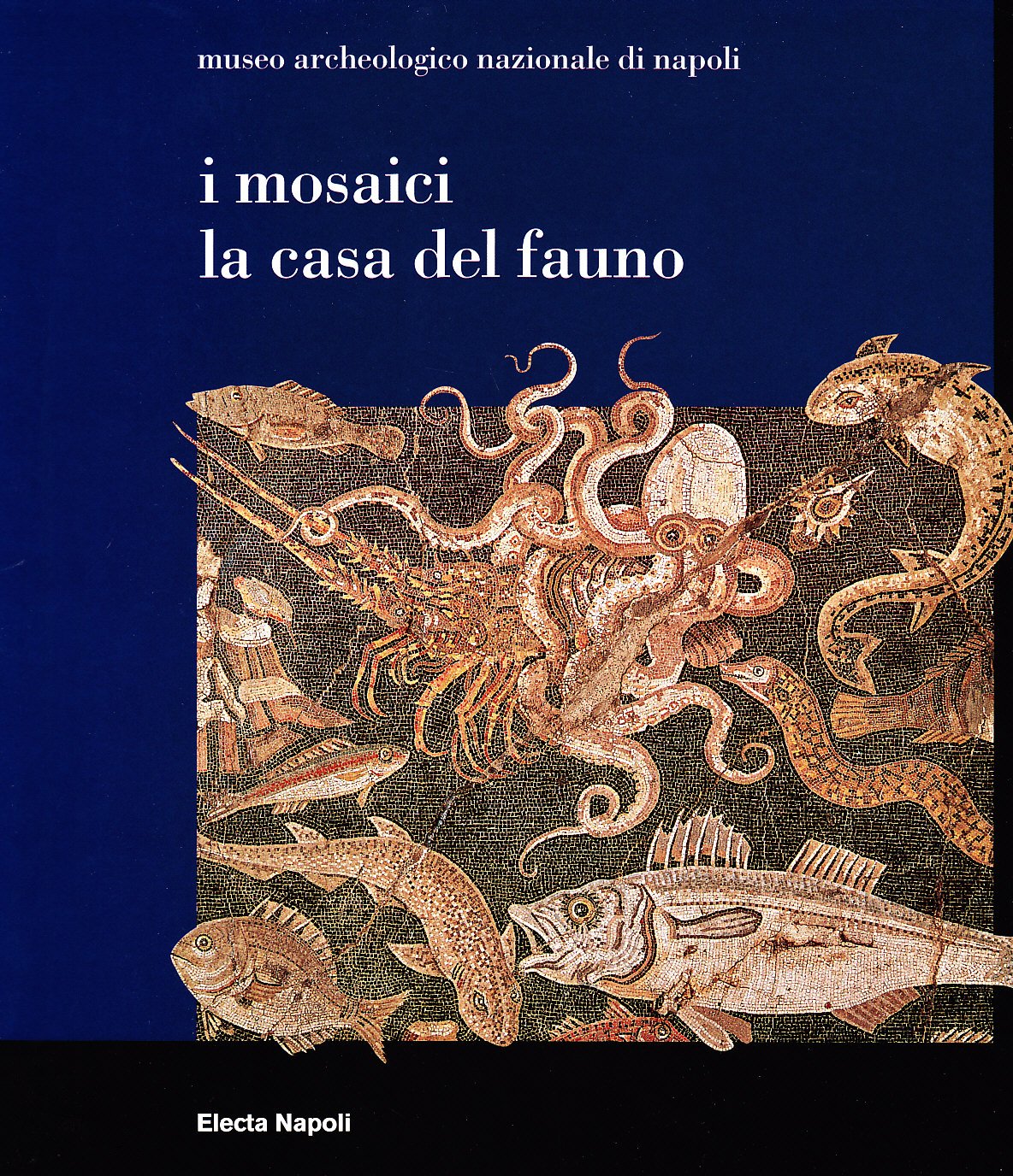 I mosaici. La casa del fauno book