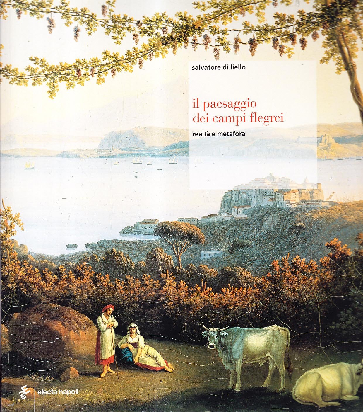 Il paesaggio nei Campi Flegrei. Tra realtà e metafora book