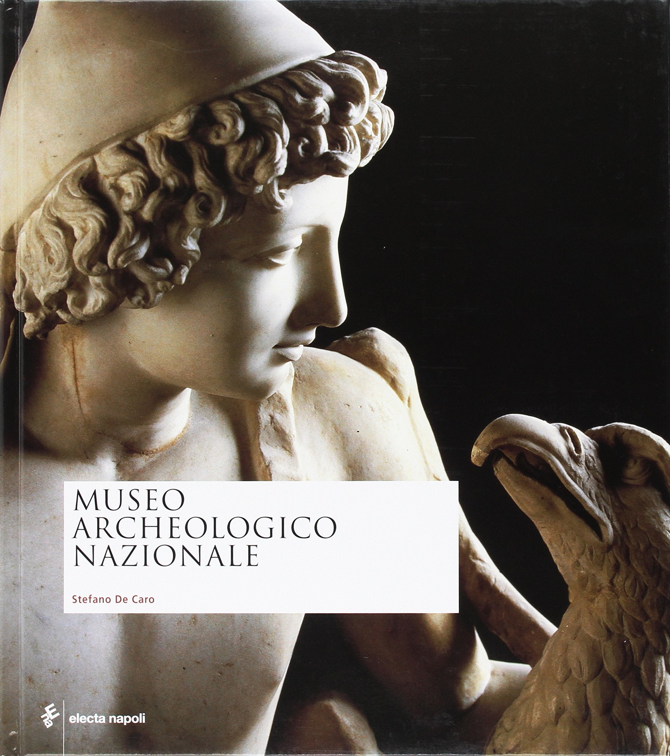 Museo archeologico nazionale book