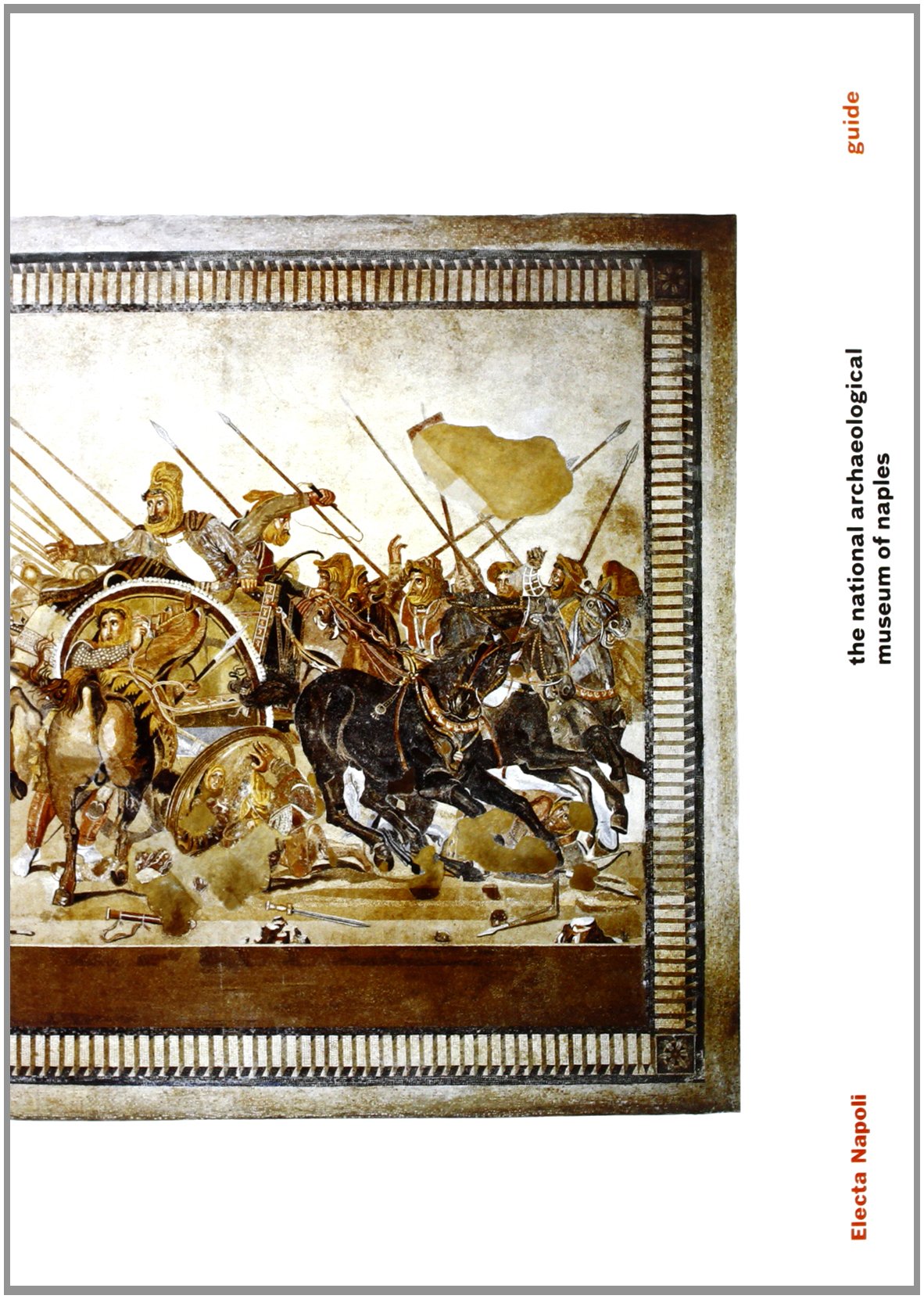 The natural archaeological museum of Naples book