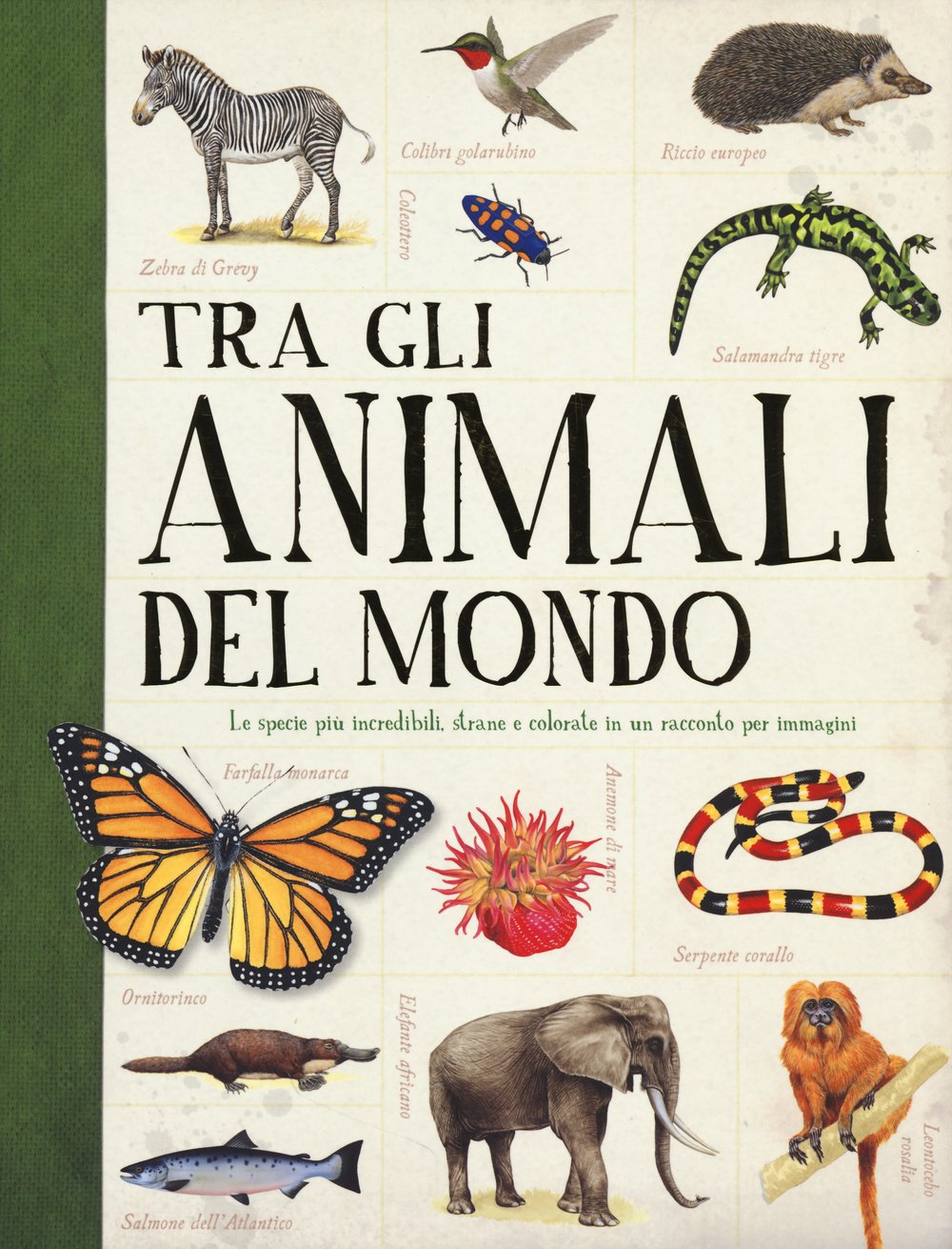Tra gli animali del mondo book