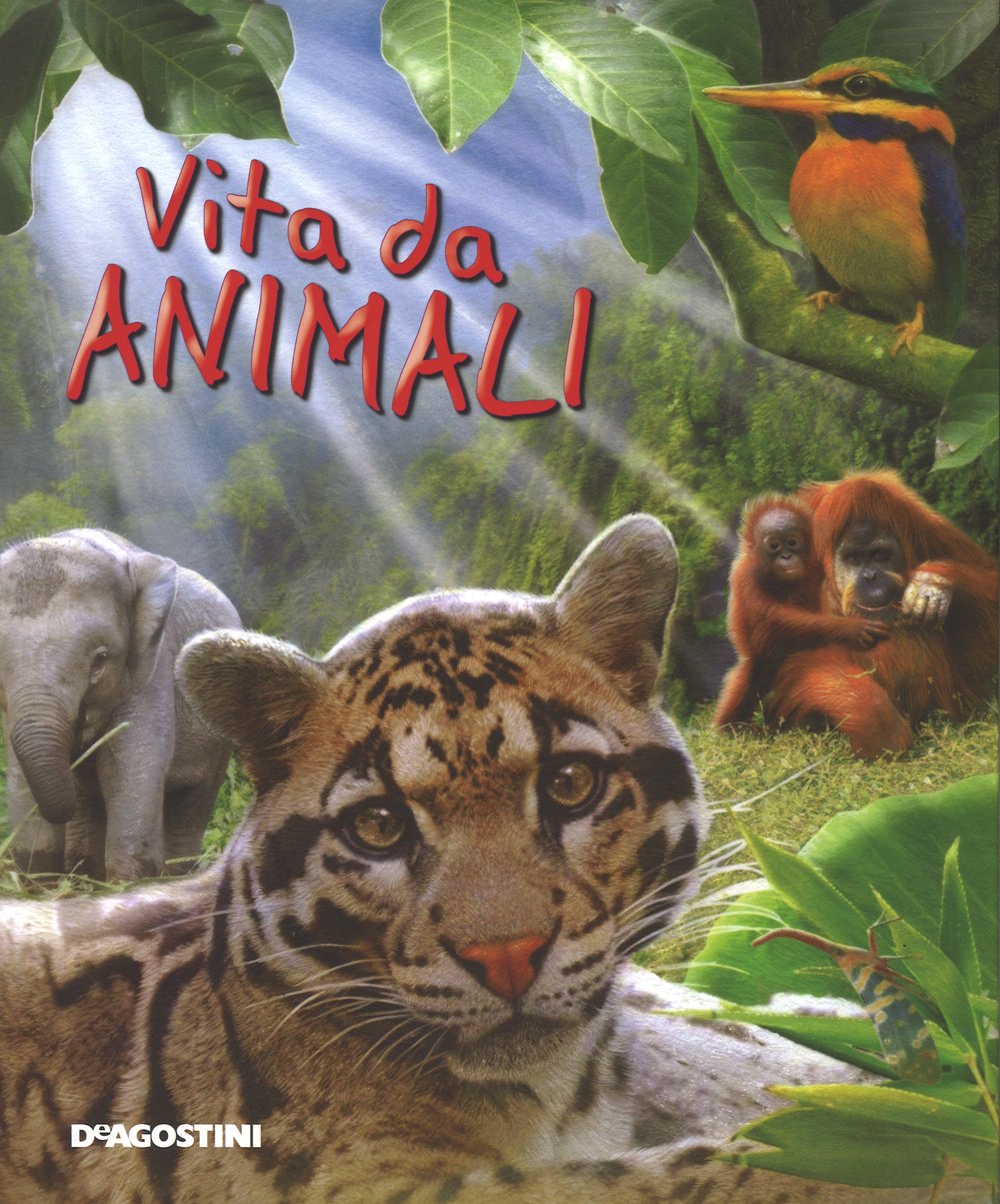 Vita da animali. Ediz. illustrata Non-fiction