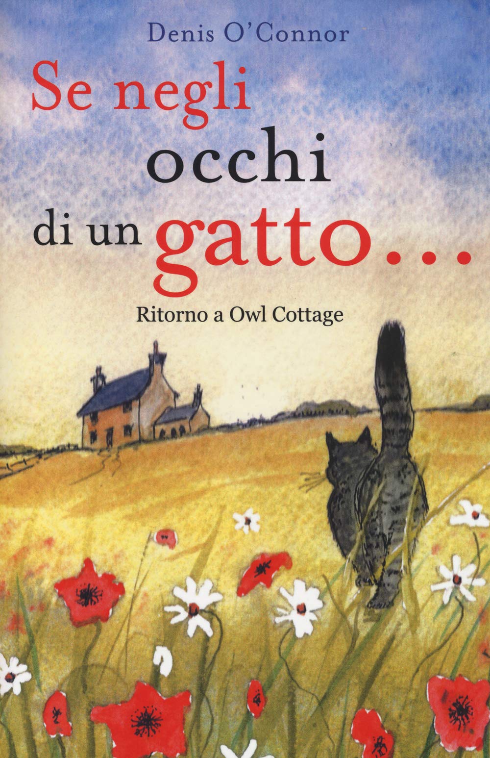 Se negli occhi di un gatto... Ritorno a Owl Cottage book