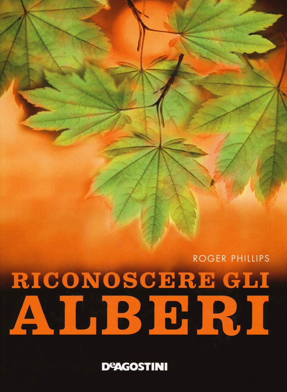 Riconoscere gli alberi. Ediz. illustrata (Atlanti della natura) Leisure, Home & Garden