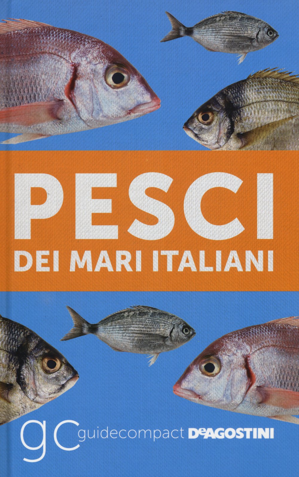 Pesci dei mari italiani book