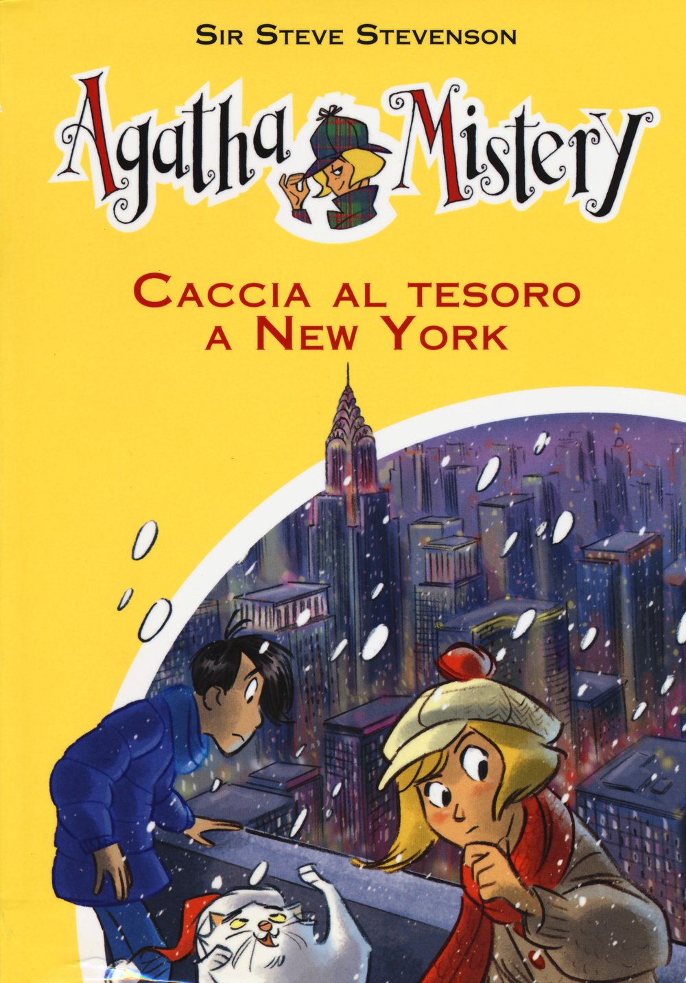 Caccia al tesoro a New York book