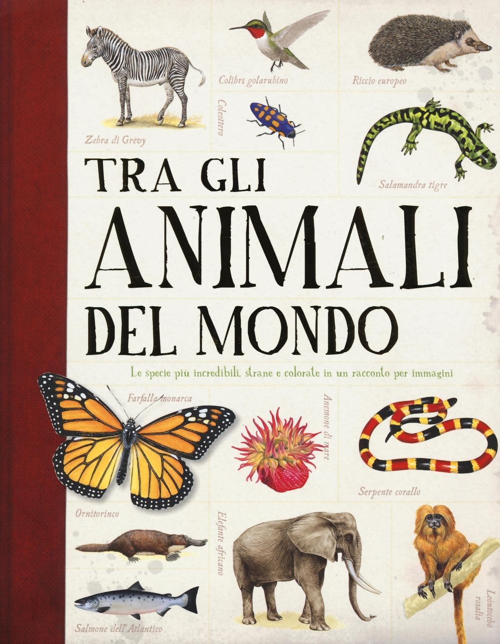 Tra gli animali del mondo book