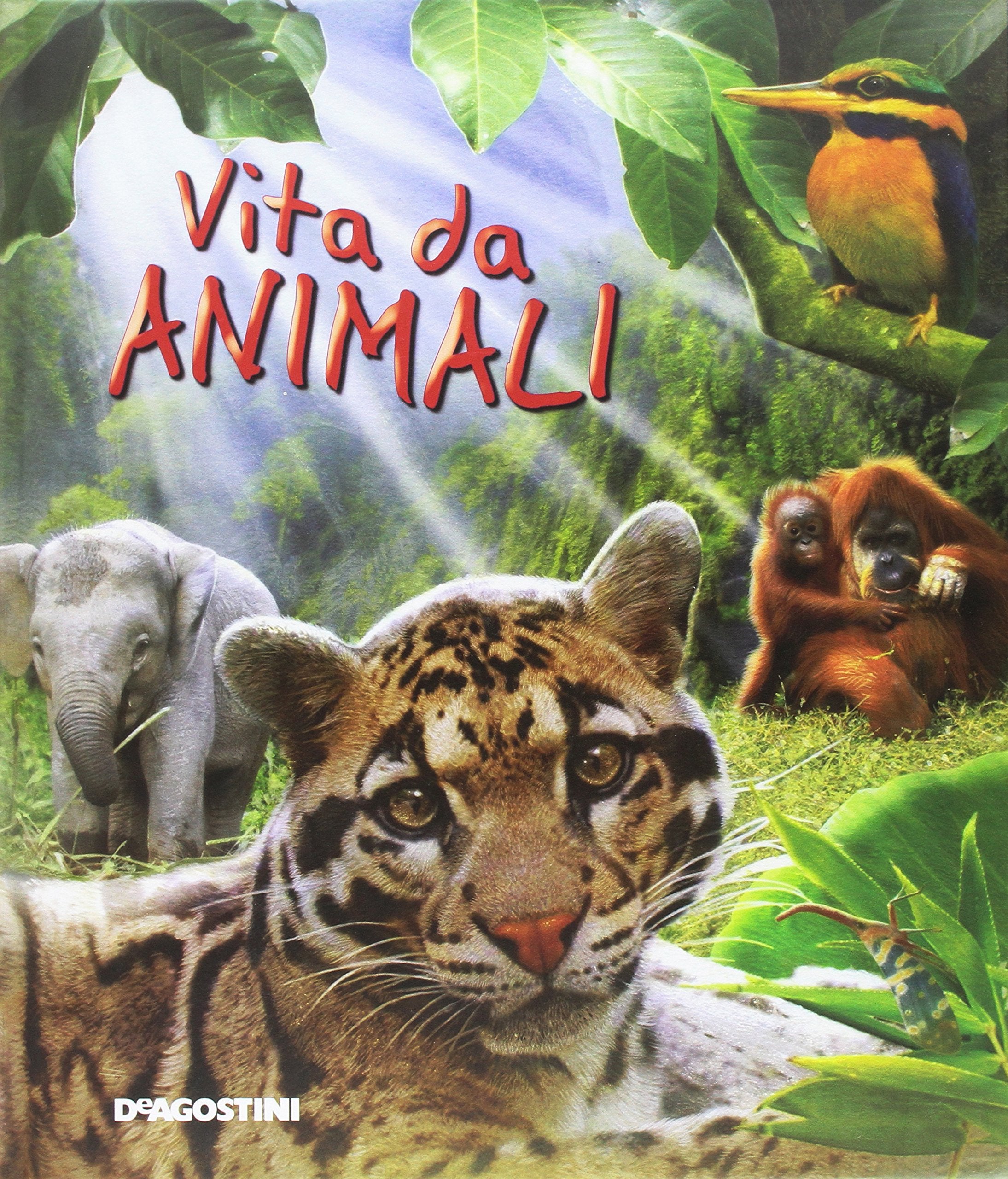 Vita da animali. Ediz. illustrata (Enciclopedia illustrata) Non-fiction