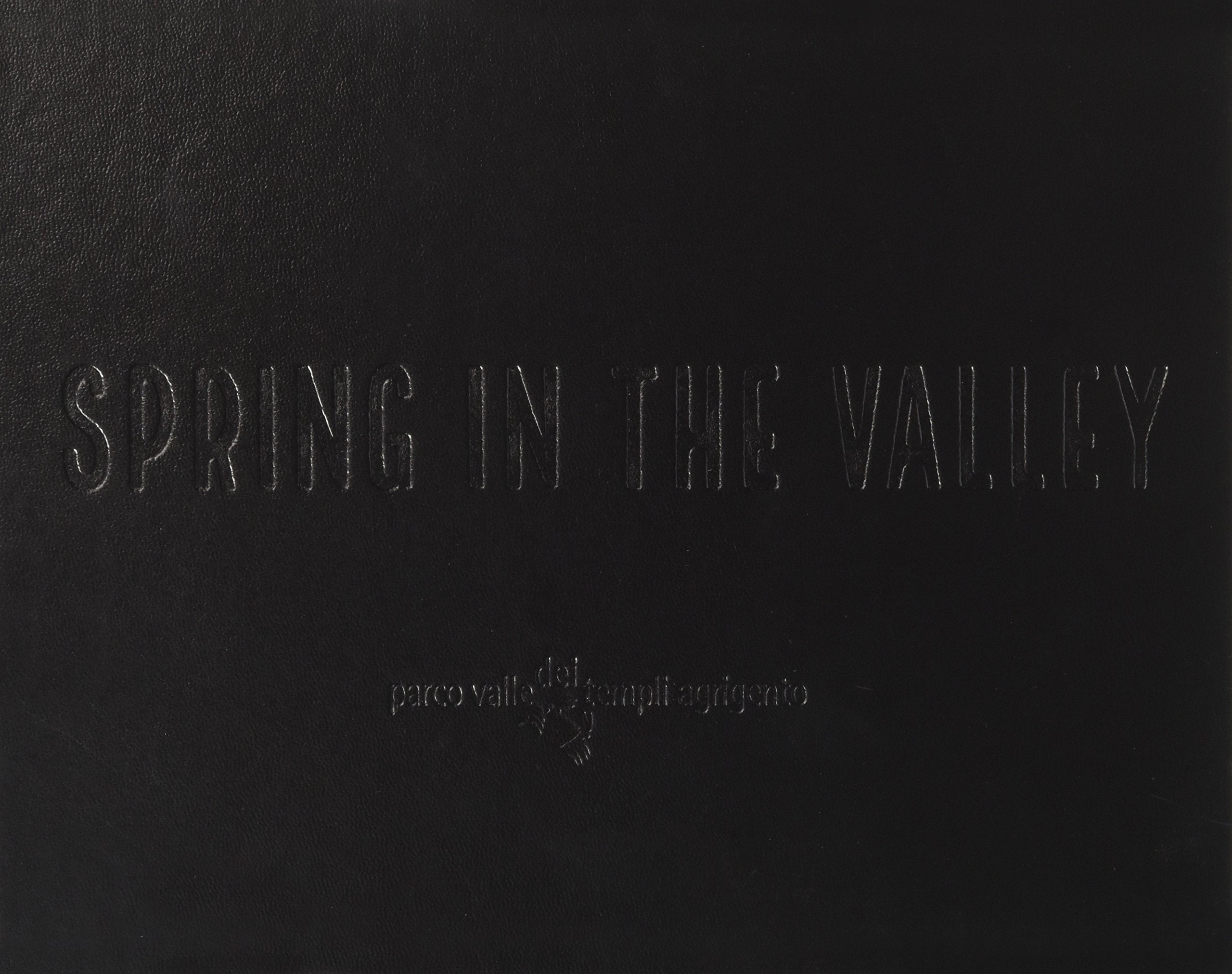 Spring in the Valley. Ediz. a colori Contemporary literature