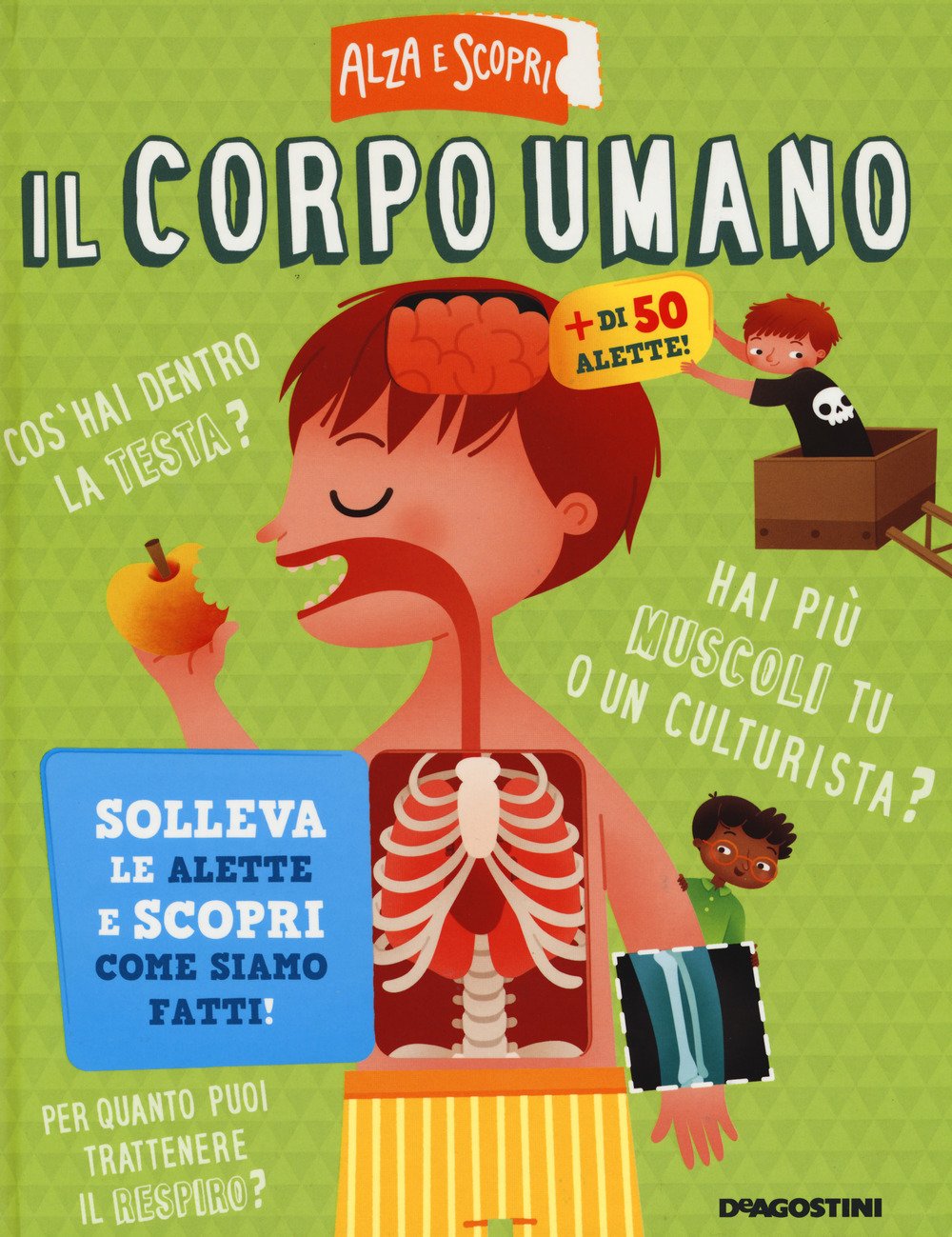 Il corpo umano. Ediz. a colori book
