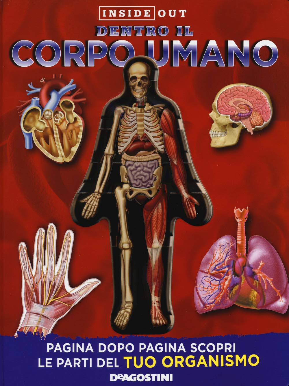 Dentro il corpo umano. Ediz. a colori book