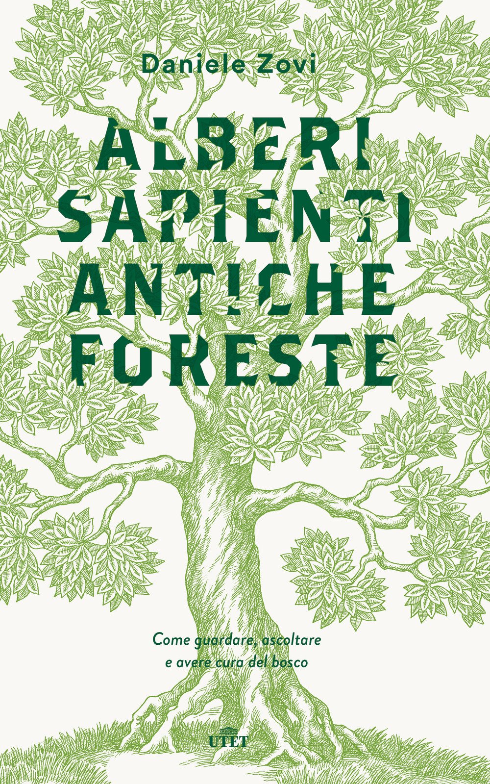 Alberi sapienti antiche foreste. Come guardare, ascoltare e avere cura del bosco Leisure, Home & Garden