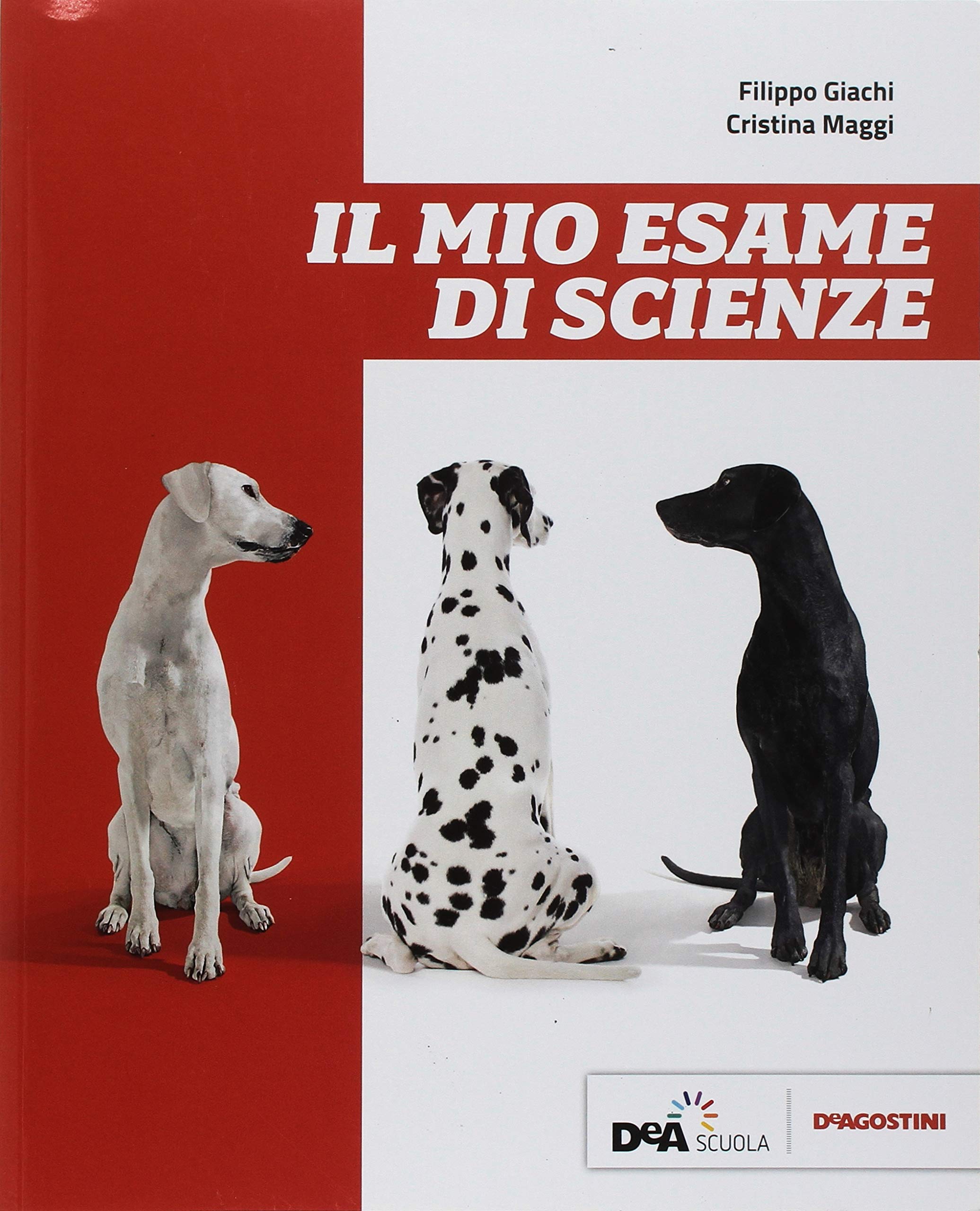 Il mio esame di scienze. Per le Scuole superiori book
