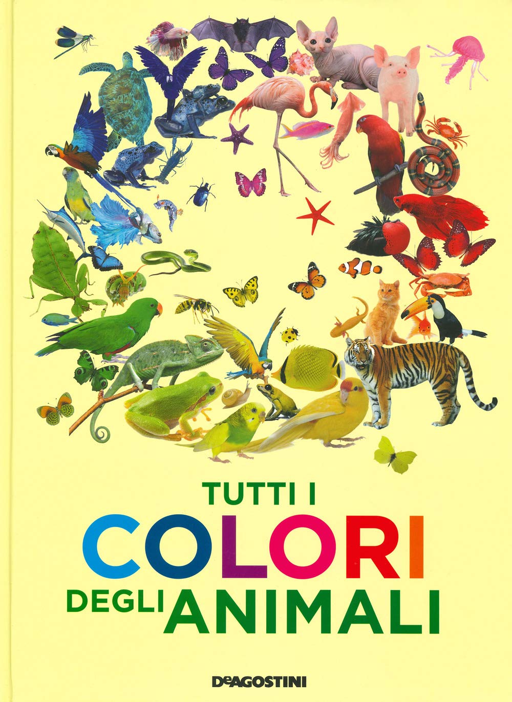 Tutti i colori degli animali. Ediz. a colori (Enciclopedia illustrata) Non-fiction