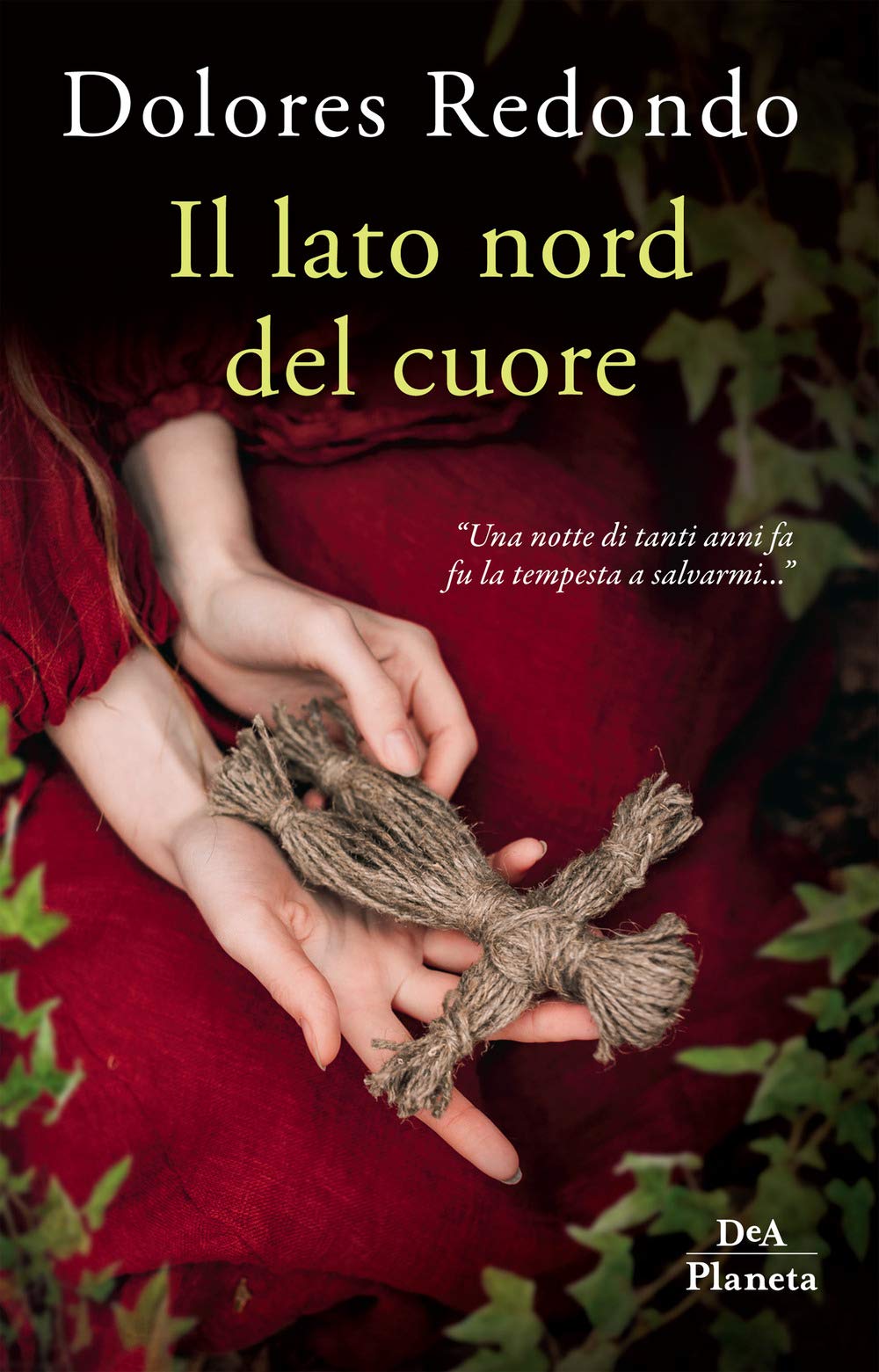 Il lato nord del cuore book