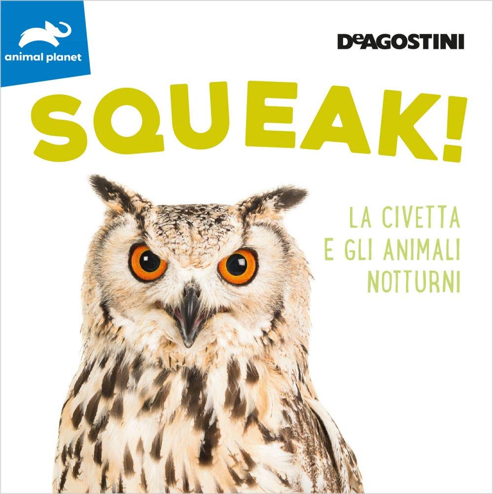Squeak! La civetta e gli animali notturni. Ediz. a colori book